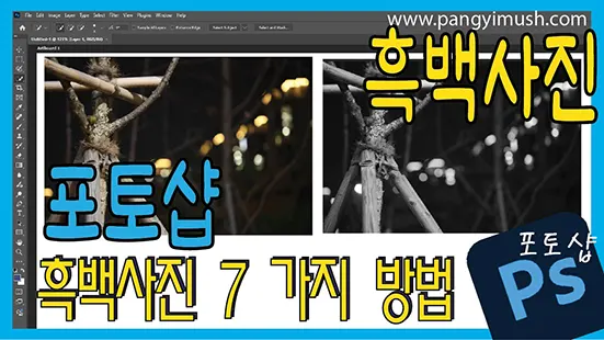Read more about the article 포토샵으로 흑백사진 만드는 7가지 방법