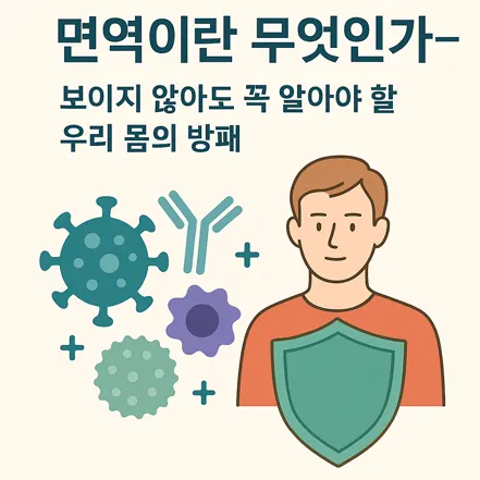 Read more about the article 면역이란 무엇인가 – 보이지 않아도 꼭 알아야 할 우리 몸의 방패