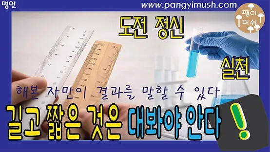 Read more about the article 길고 짧은 것은 대봐야 안다 – 해본 자만이 결과를 말할 수 있다