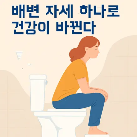 Read more about the article 배변 자세 하나로 건강이 바뀐다 – 과학으로 보는 올바른 변기 자세