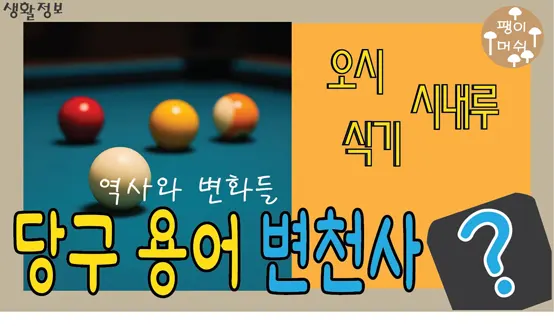 Read more about the article 당구 용어 변천사 왜 일본식 표현이 많았을까 – 역사와 변화 그리고 오시 시내루 빽식기