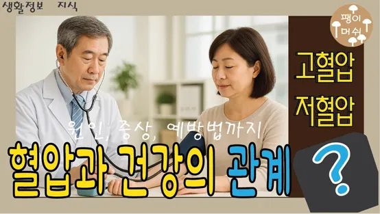 Read more about the article 혈압 완전 정복 – 고혈압과 저혈압의 원인 증상 예방법까지