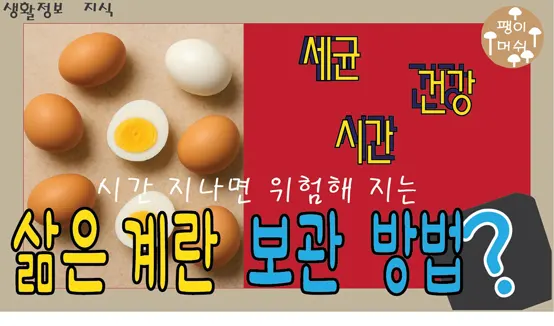 Read more about the article 삶은 계란 보관법 몇 시간 지나면 위험해진다 – 안전하게 먹는 방법과 보관 팁