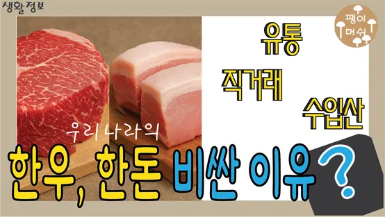 Read more about the article 한우 가격, 한돈 가격이 수입산보다 비싼 이유 – 유통 구조와 가격의 비밀