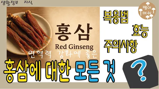 Read more about the article 홍삼의 모든 것 – 유래 효능 복용법 주의사항까지 완벽 정리