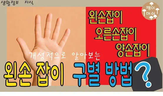 Read more about the article 왼손잡이 기준과 오른손잡이 양손잡이의 특징 – 언제 어떻게 구분할까?