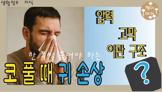 Read more about the article 코 풀 때 한쪽씩 풀어야 하는 이유 – 귀 건강과 안전하게 코 푸는 방법