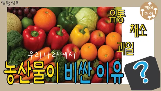 Read more about the article 농산물 가격과 과일 가격이 오르는 진짜 이유 – 유통 구조의 숨겨진 진실