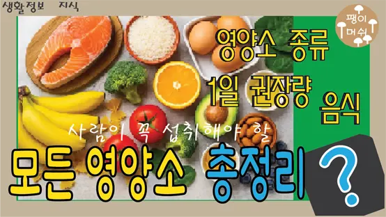 Read more about the article 사람이 섭취해야 할 영양소 총정리 – 종류, 음식, 1일 권장량까지