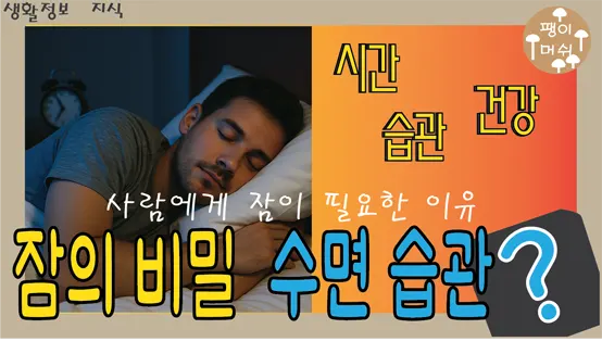 Read more about the article 잠을 자는 이유 – 사람은 왜 자고 권장 수면 시간이 존재하는가