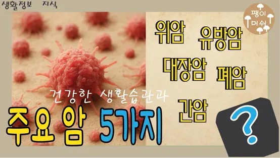 Read more about the article 한국인이 가장 많이 걸리는 주요 암 5가지와 예방법 – 조기검진부터 건강한 생활습관까지