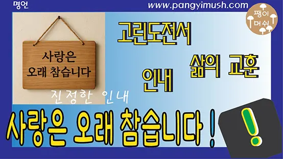 Read more about the article 사랑은 오래 참습니다 – 성경의 의미와 오늘의 교훈