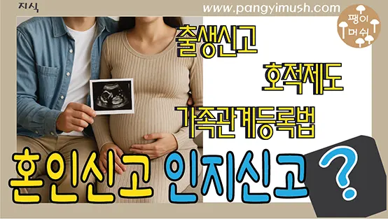 Read more about the article 인지신고 – 혼인신고 없이 아이를 호적과 가족관계등록부에 올리고 등재하는 방법과 장단