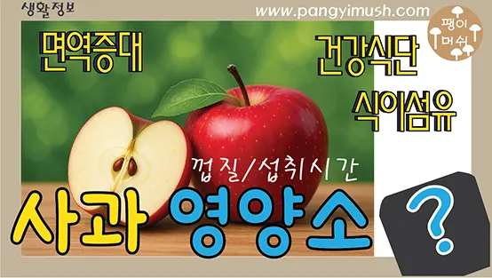 Read more about the article 사과 영양소와 건강 효과 완전 정리 – 껍질, 섭취 시간, 하루 권장량까지