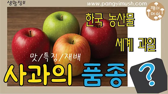 Read more about the article 사과 품종 완전 정리 – 시나노스위트부터 부사까지 맛·특징·재배 지역 총정리