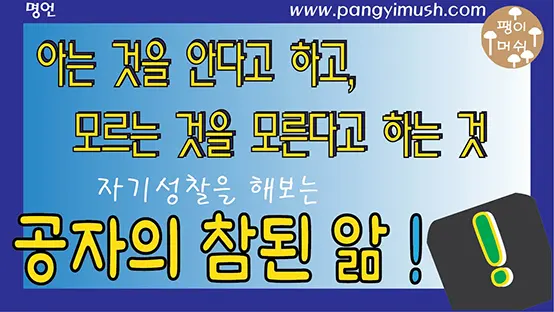 Read more about the article 공자 명언 참된 앎 – ‘知之爲知之 不知爲不知 是知也’의 의미와 현대적 교훈 – 아는 것을 안다고 하고, 모르는 것을 모른다고 하는 것이 진정한 앎이다