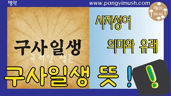 Read more about the article 구사일생 의미와 유래 – 아홉 번 죽을 뻔하고 한 번 살아난다는 말의 깊은 뜻