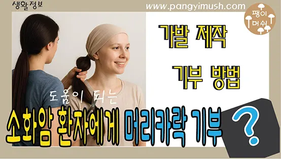 Read more about the article 소아암 환자에게 머리카락 기부와 어떤 도움이 되는지 – 가발 제작과 기부 절차 완전 정리