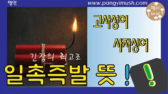 Read more about the article 일촉즉발 뜻과 유래 – 한자 풀이부터 영어 표현까지 완벽 정리