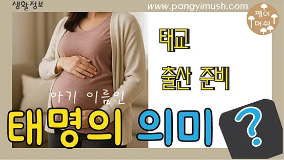 Read more about the article 태명 의미와 유래 – 왜 아기에게 태명을 지을까? 세계 각국의 태명 문화까지