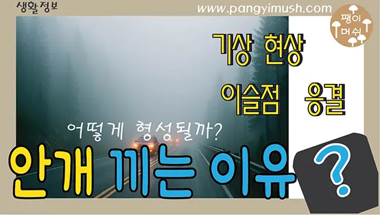 Read more about the article 안개가 생기는 이유와 원리 – 아침 안개의 신비를 과학으로 풀다