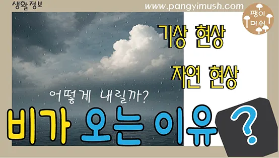 Read more about the article 비가 오는 이유 어떻게 내릴까 – 하늘에서 떨어지는 물방울의 과학과 신비