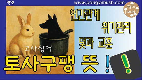 Read more about the article 토사구팽 – 필요할 때만 쓰고 버리는 관계의 덫과 교훈