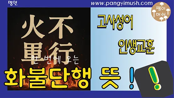 Read more about the article 화불단행(火不單行)의 진정한 의미 – 불행은 왜 한꺼번에 찾아오는가