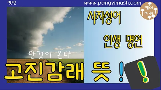 Read more about the article 고진감래 뜻, 유래, 사용 상황 총정리 – 중국·일본에서도 쓰는 사자성어의 깊은 의미