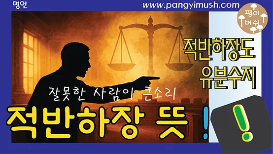 Read more about the article 적반하장도 유분수지 뜻과 유래 — 뻔뻔함의 극치를 표현하는 고사성어 완전정리