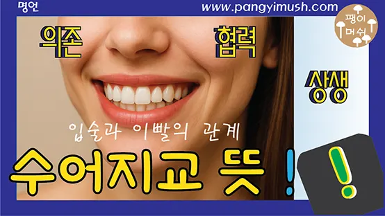 Read more about the article 수어지교(唇齒之交) 뜻·유래·사용법 완벽 정리 – 상생과 협력의 상징