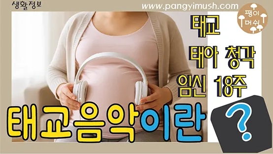 Read more about the article 태교 음악, 언제부터 어떻게 들려줘야 할까? — 태아의 청각 발달과 올바른 음악 태교법