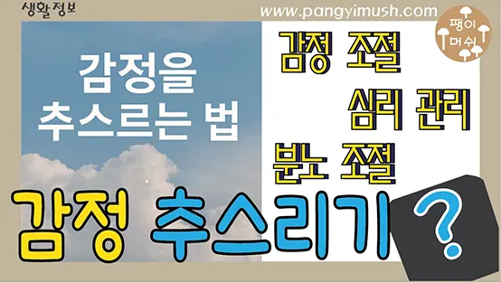 Read more about the article 감정을 추스르는 법 – 갈등 속에서도 마음을 지키는 평정의 기술