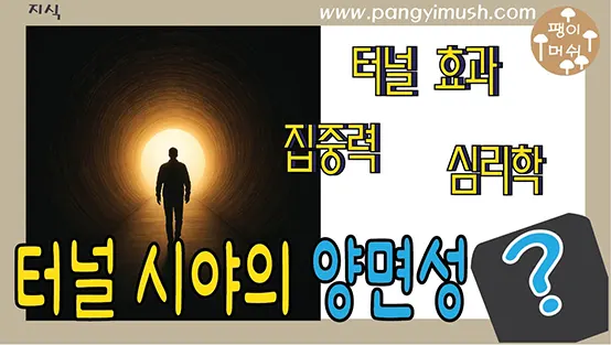 Read more about the article 터널 시야의 양면성 – 집중이 만들어내는 성공과 한계의 심리학