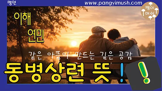 Read more about the article 동병상련 뜻과 유래 – 같은 아픔이 만드는 깊은 공감