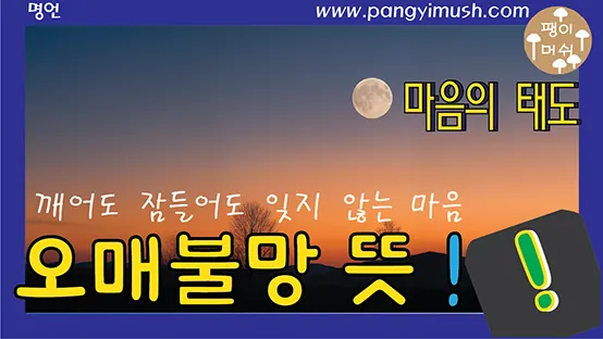 Read more about the article 오매불망(寤寐不忘)의 뜻과 유래 – 깨어도 잠들어도 잊지 않는 마음