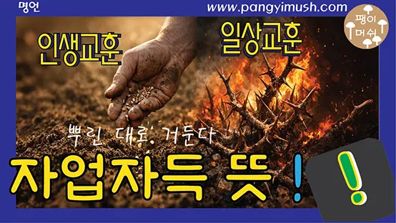 Read more about the article 자업자득 뜻과 기원 – 뿌린 대로 거둔다는 말의 진짜 의미