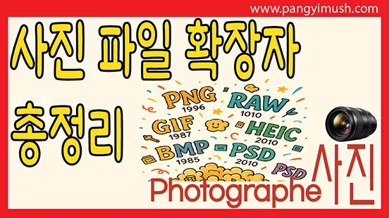 Read more about the article 사진 파일 확장자 총정리: JPG, PNG, GIF부터 RAW까지 완벽 비교
