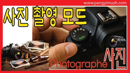 Read more about the article 사진이 달라지는 순간! 카메라 촬영 모드의 모든 것 (AUTO, M, A, S, SCN)